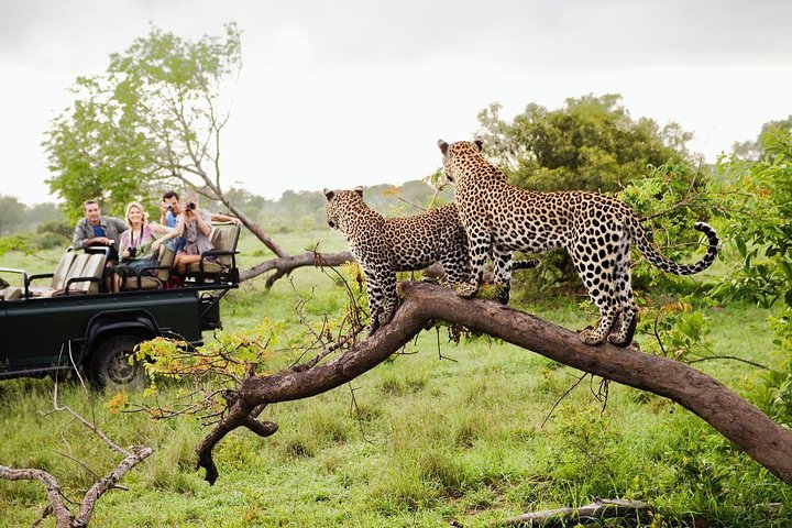 Yala National Park, southern Sri Lanka